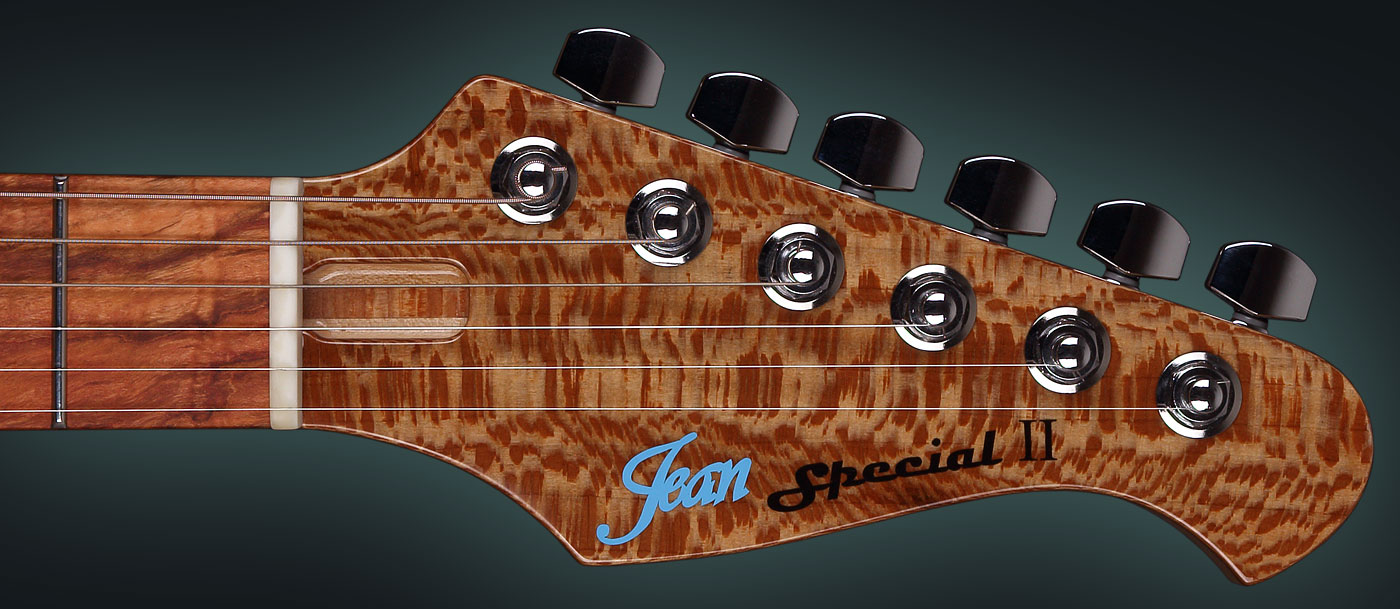 exotic wood electric guitar